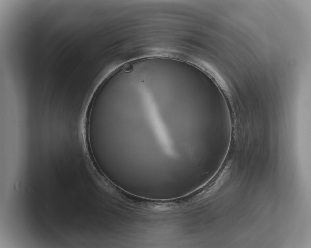 X0000102410899200808081322