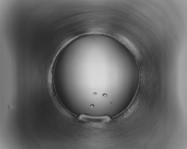 X0000102410900200808081322