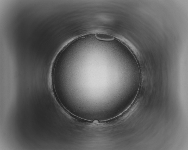 X0000102410902200808081322