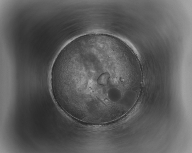 X0000102410903200808081322