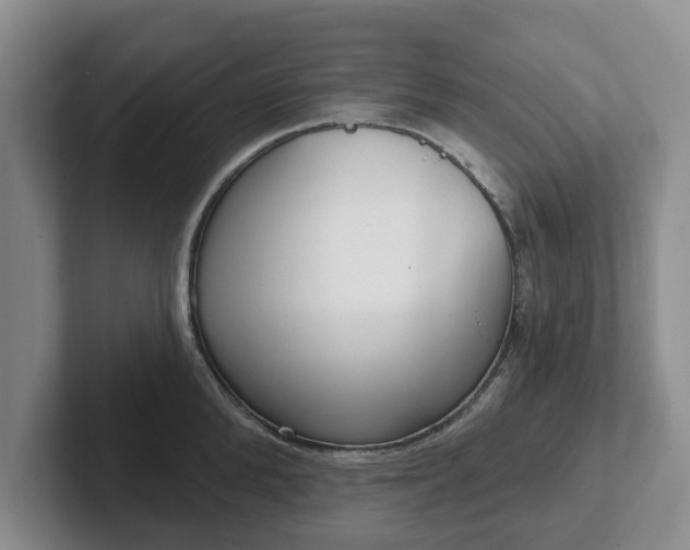 X0000102410904200808081322