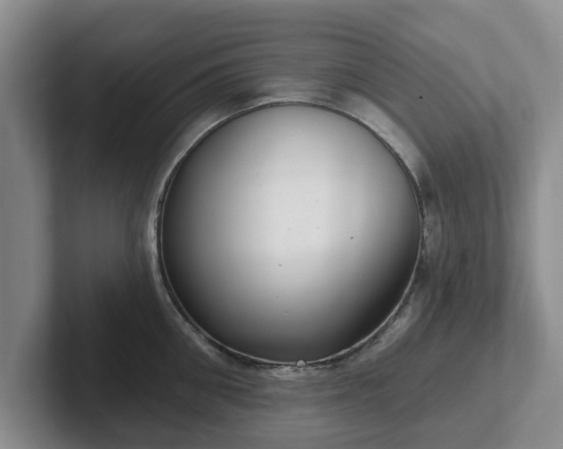 X0000102410906200808081322