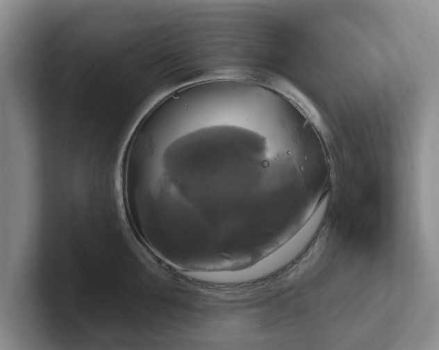 X0000102410907200808081322