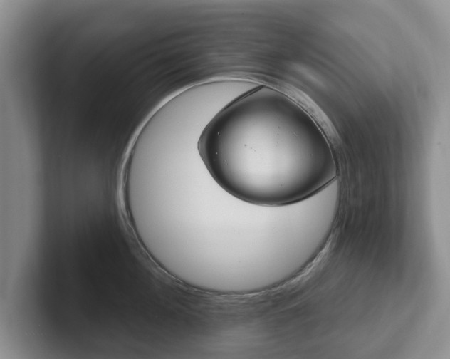 X0000102410908200808081322