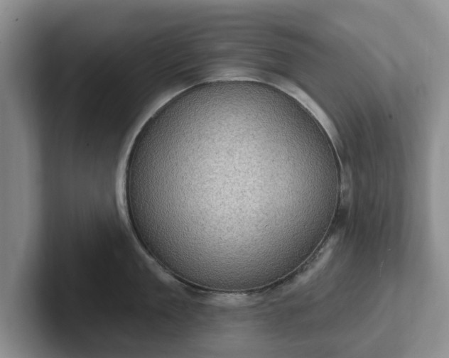 X0000102410909200808081322