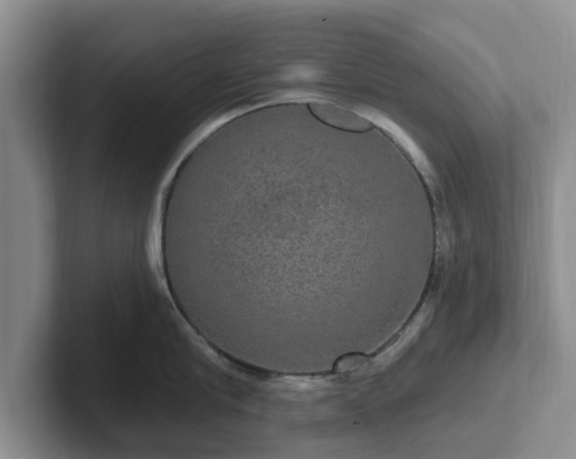 X0000102410910200808081322