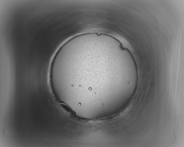 X0000102410912200808081322