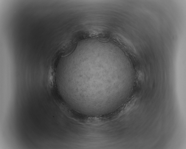 X0000102410914200808081321