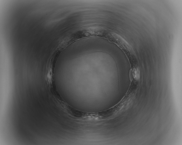 X0000102410915200808081321