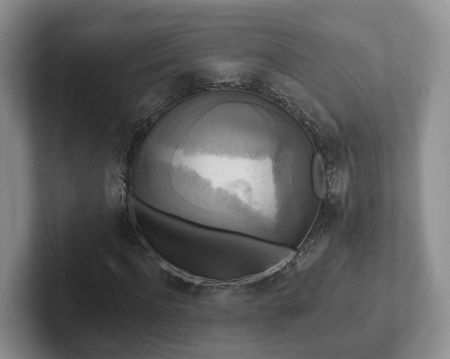 X0000102410916200808081321