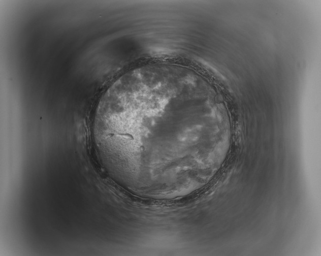 X0000102410917200808081321