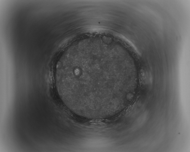 X0000102410918200808081321