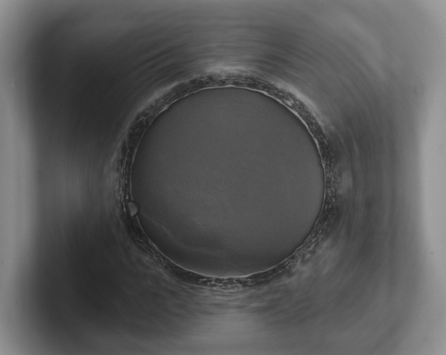 X0000102410919200808081321