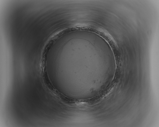 X0000102410920200808081321