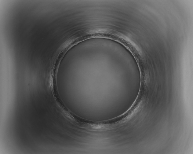 X0000102410921200808081321