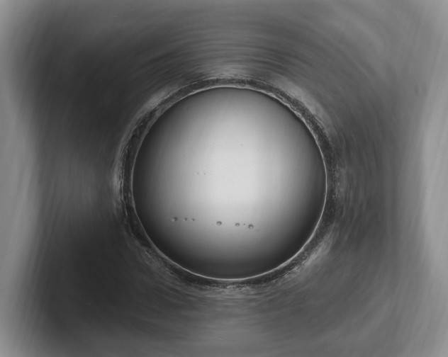 X0000102410922200808081321