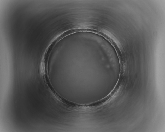 X0000102410925200808081321