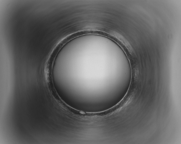 X0000102410926200808081321