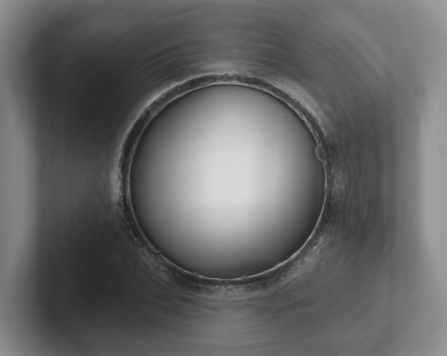 X0000102410927200808081321