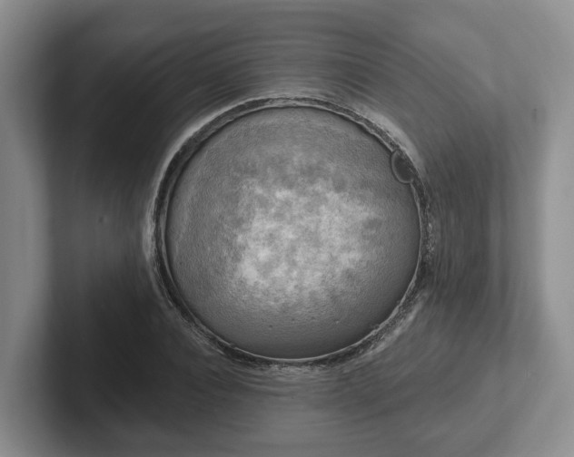 X0000102410928200808081321