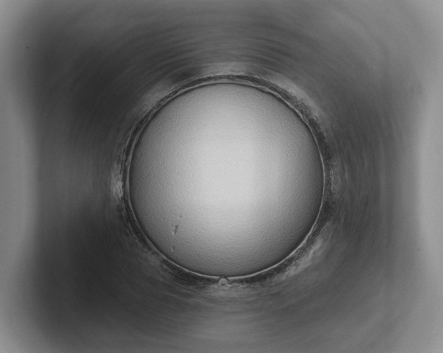 X0000102410929200808081321