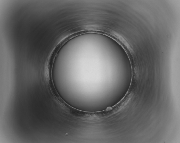 X0000102410931200808081321