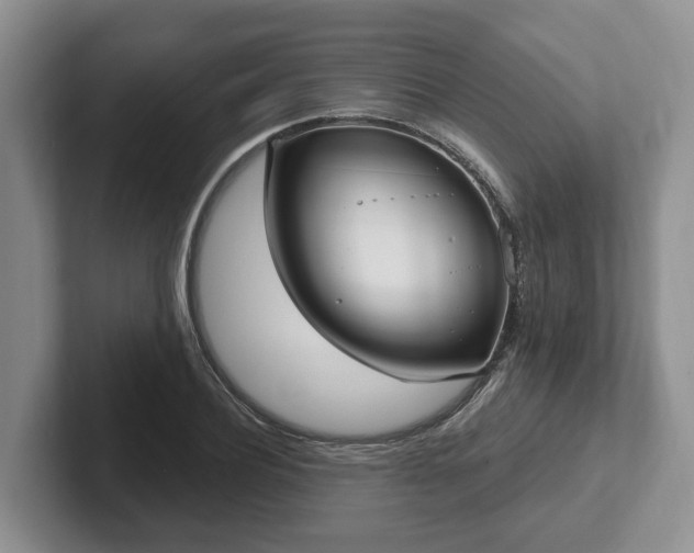 X0000102410932200808081321