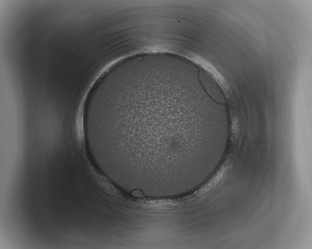 X0000102410934200808081321