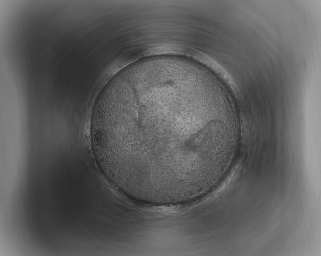 X0000102410937200808081321