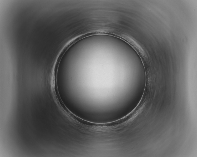 X0000102410940200808081321