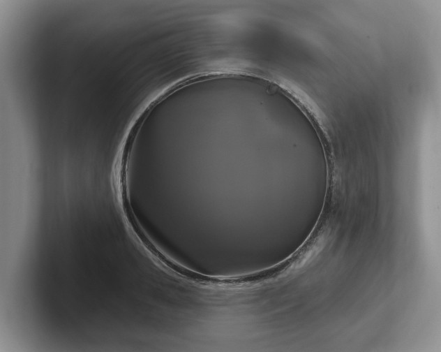 X0000102410941200808081321