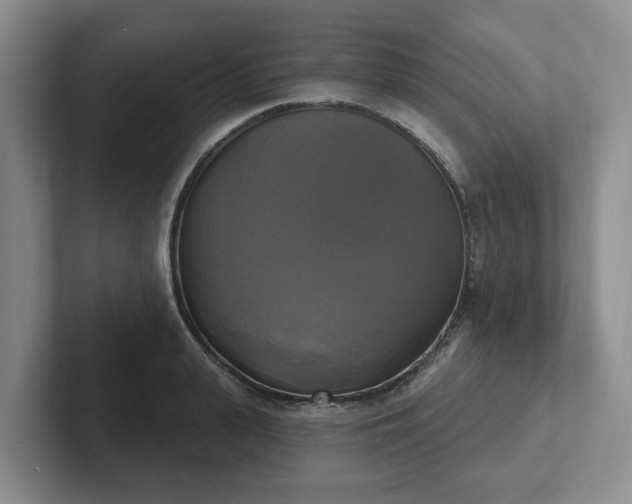 X0000102410943200808081322