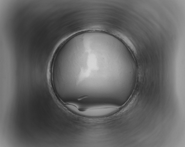 X0000102410944200808081322