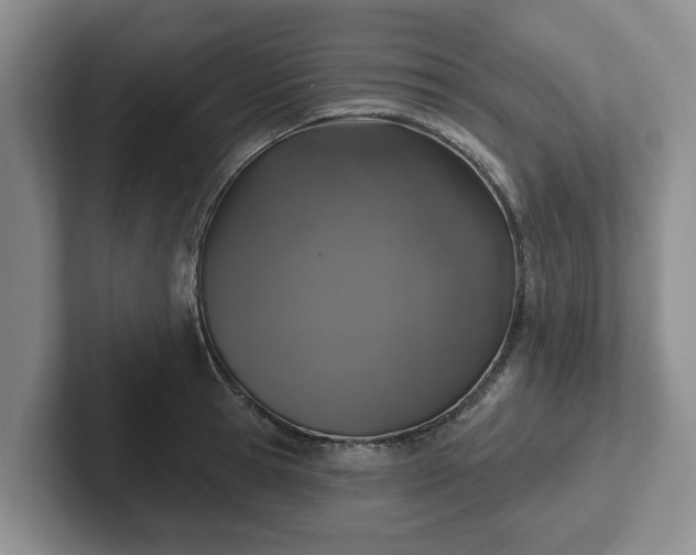 X0000102410945200808081322