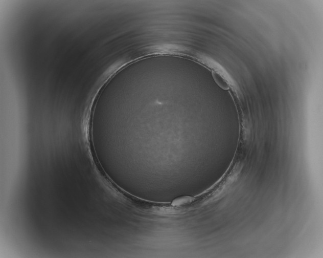 X0000102410946200808081322