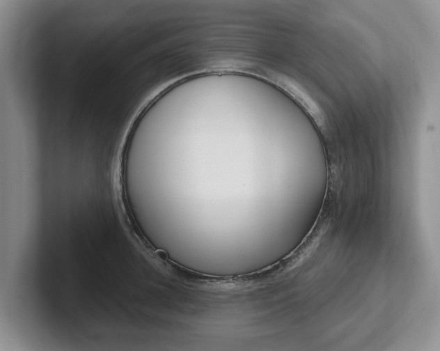 X0000102410948200808081322