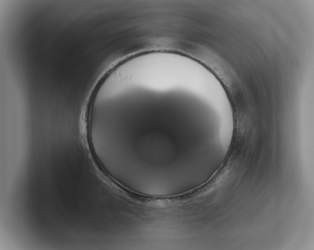 X0000102410950200808081322