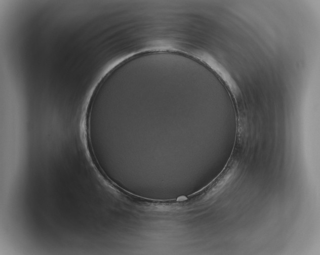 X0000102410951200808081322