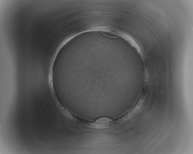 X0000102410952200808081322