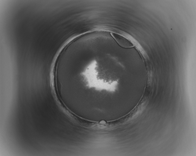 X0000102410955200808081322