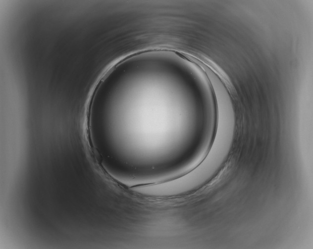 X0000102410956200808081322