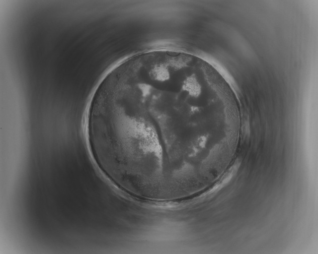 X0000102410957200808081322