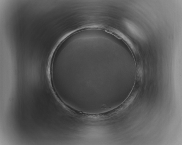 X0000102410959200808081322