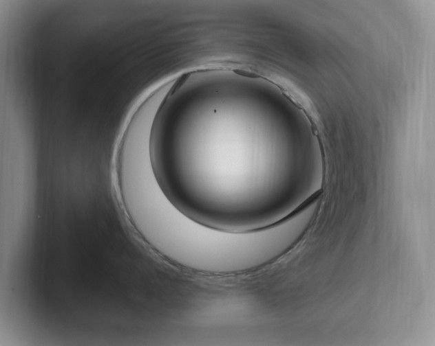 X0000102410960200808081322