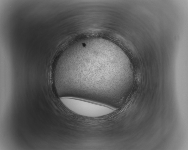 X0000102410964200808081321