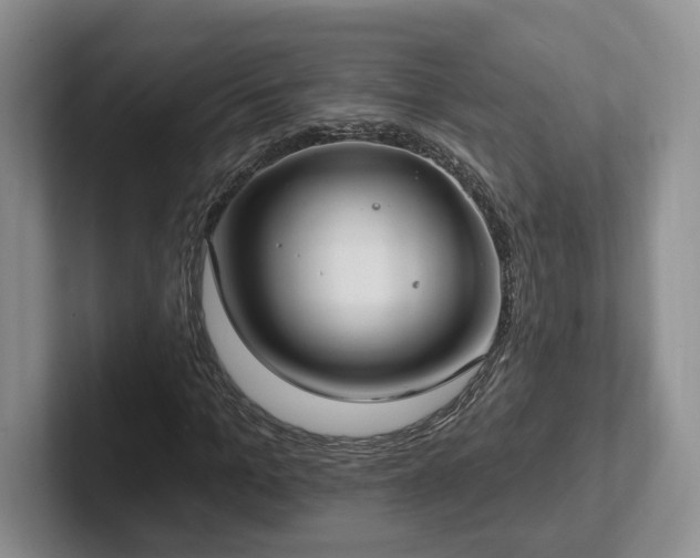 X0000102410965200808081321