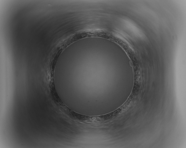 X0000102410966200808081321