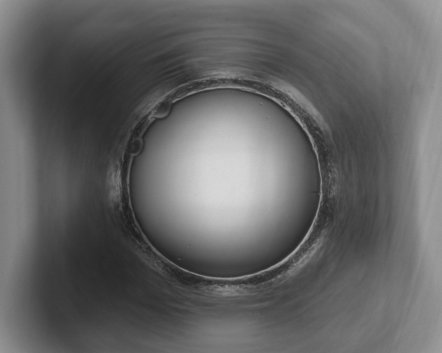 X0000102410969200808081321