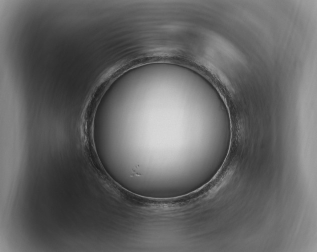 X0000102410970200808081321