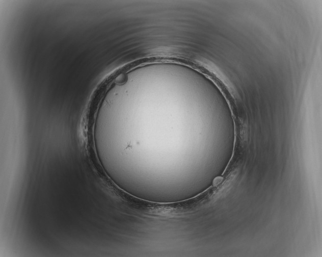 X0000102410971200808081321